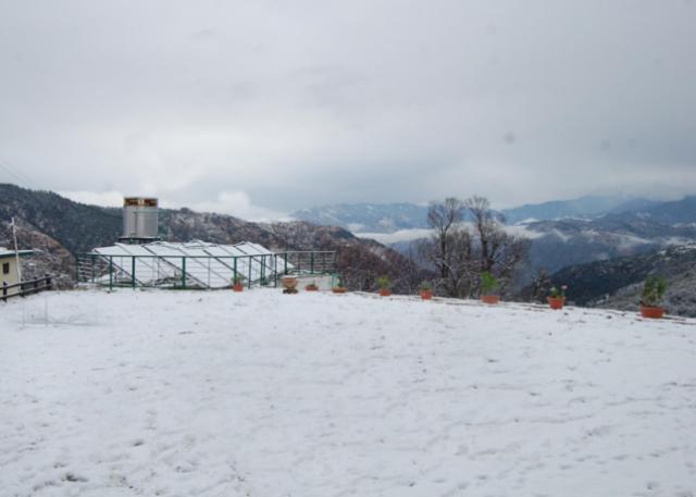 NatureRaga Fernhill Resort Chail Exteriör bild